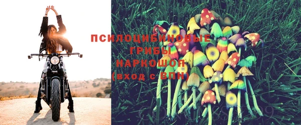 эйфоретик Вяземский