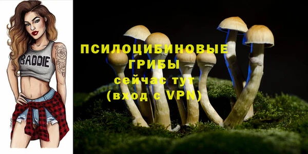а пвп мука Вязники