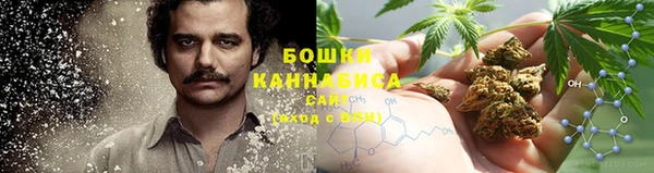 крисы Волосово